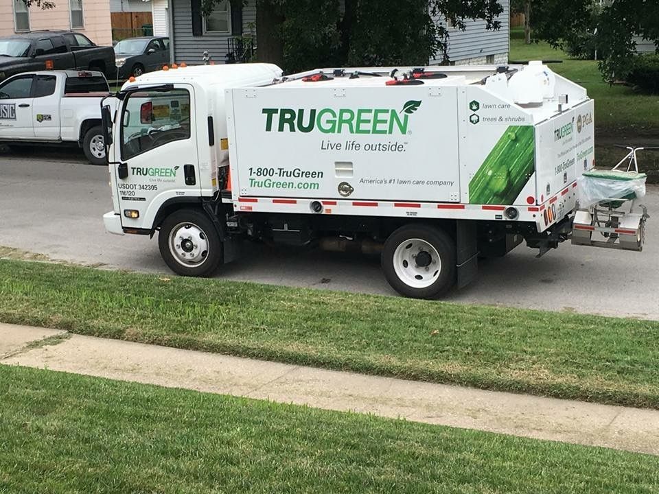 How Much Does TruGreen Cost? (2024) - Renotag